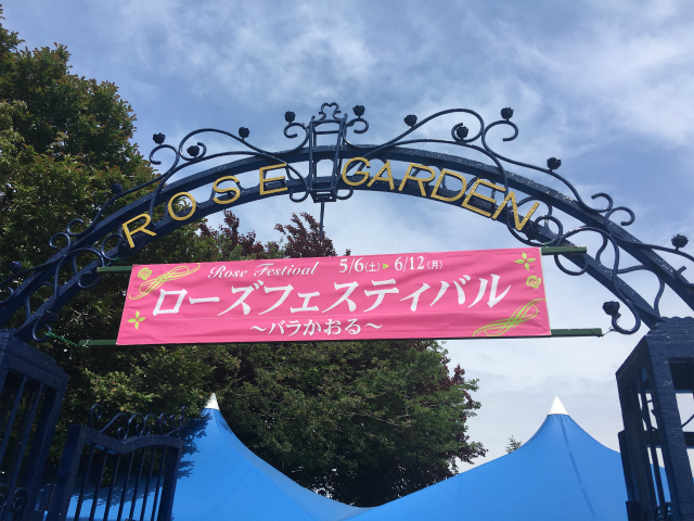 京成バラ園に行って来ました!5月16日の開花情報と園内の様子